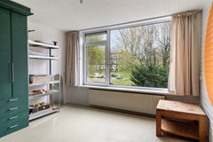 Van Bosseplantsoen 7_50.jpg